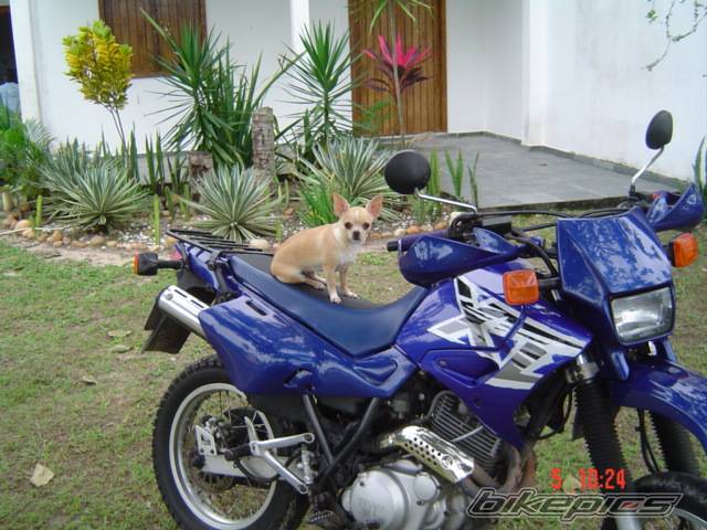 Photo 369510