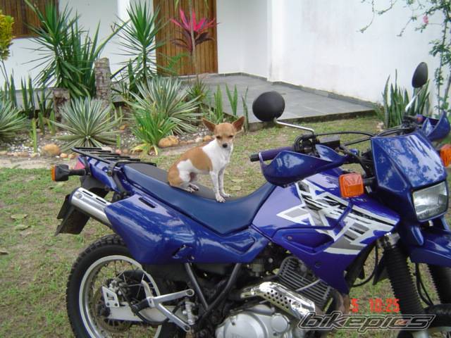 Photo 369511