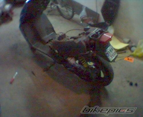 Photo 369555