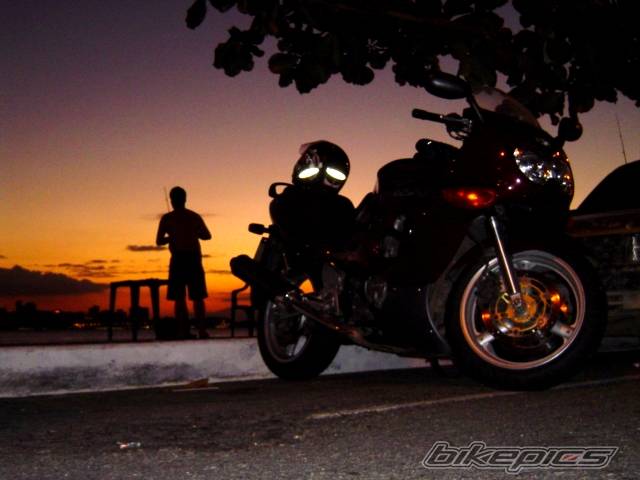 Photo 369568
