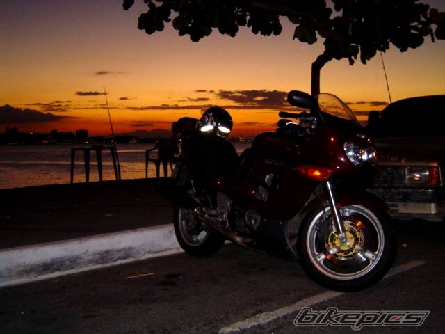 Photo 369569