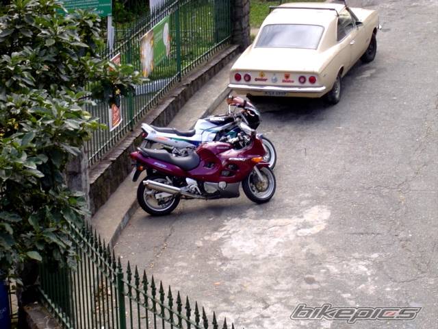 Photo 369570