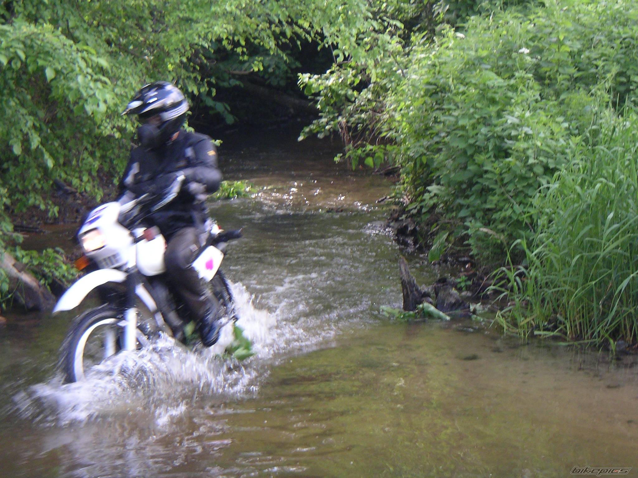 Bike Photo 369643