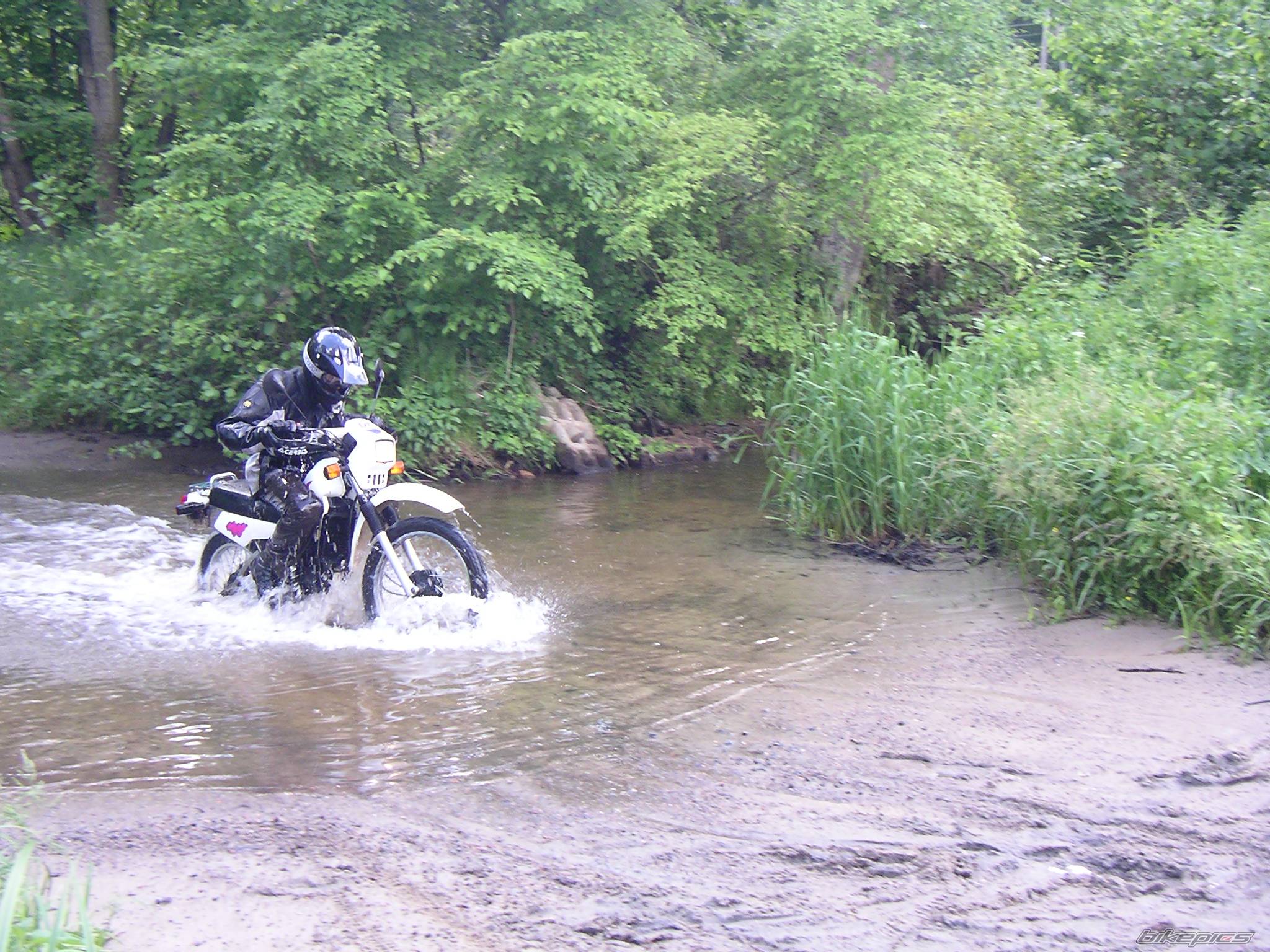 Bike Photo 369650