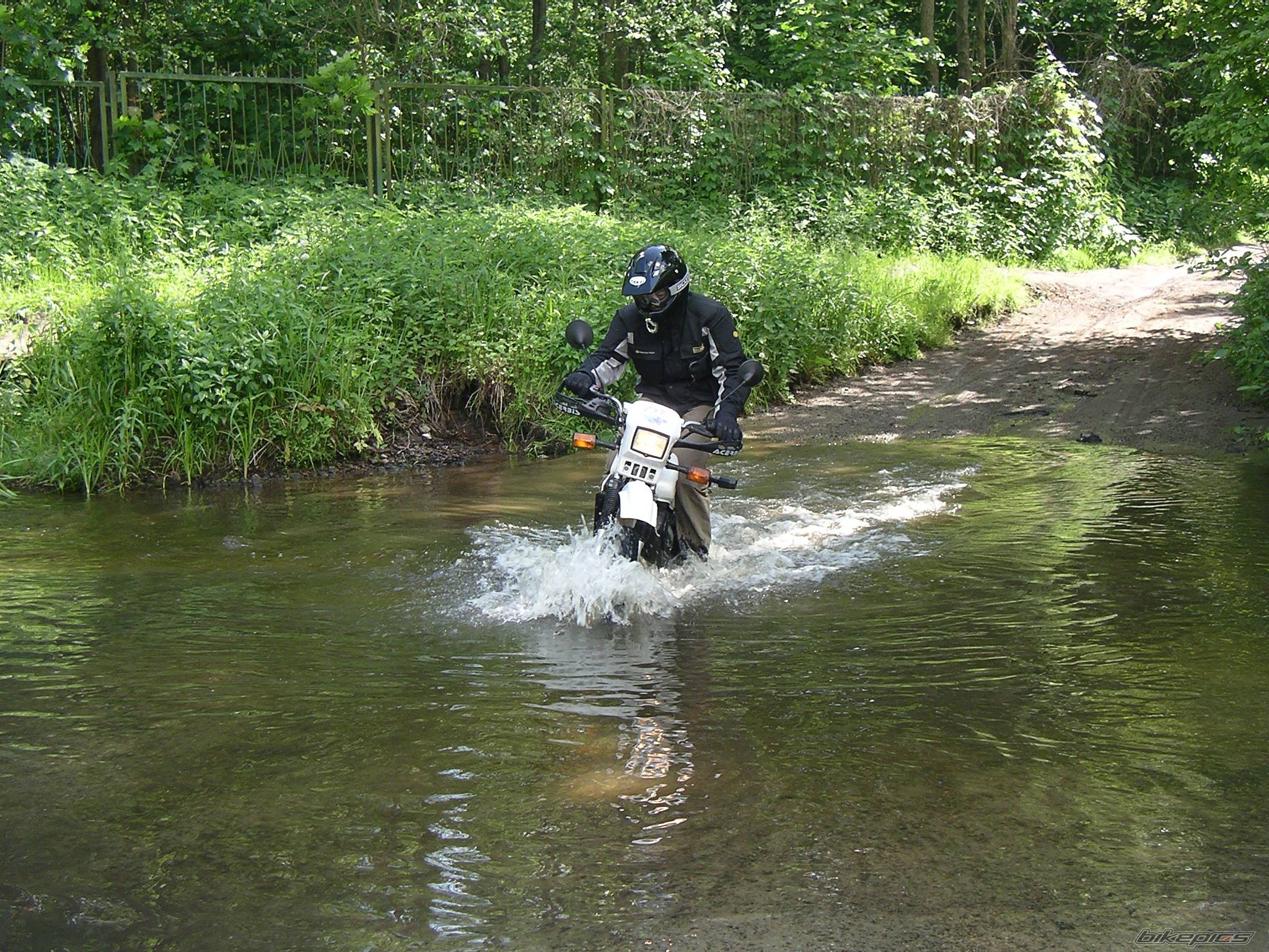 Bike Photo 369669