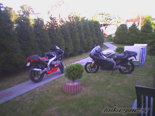 Photo 369706