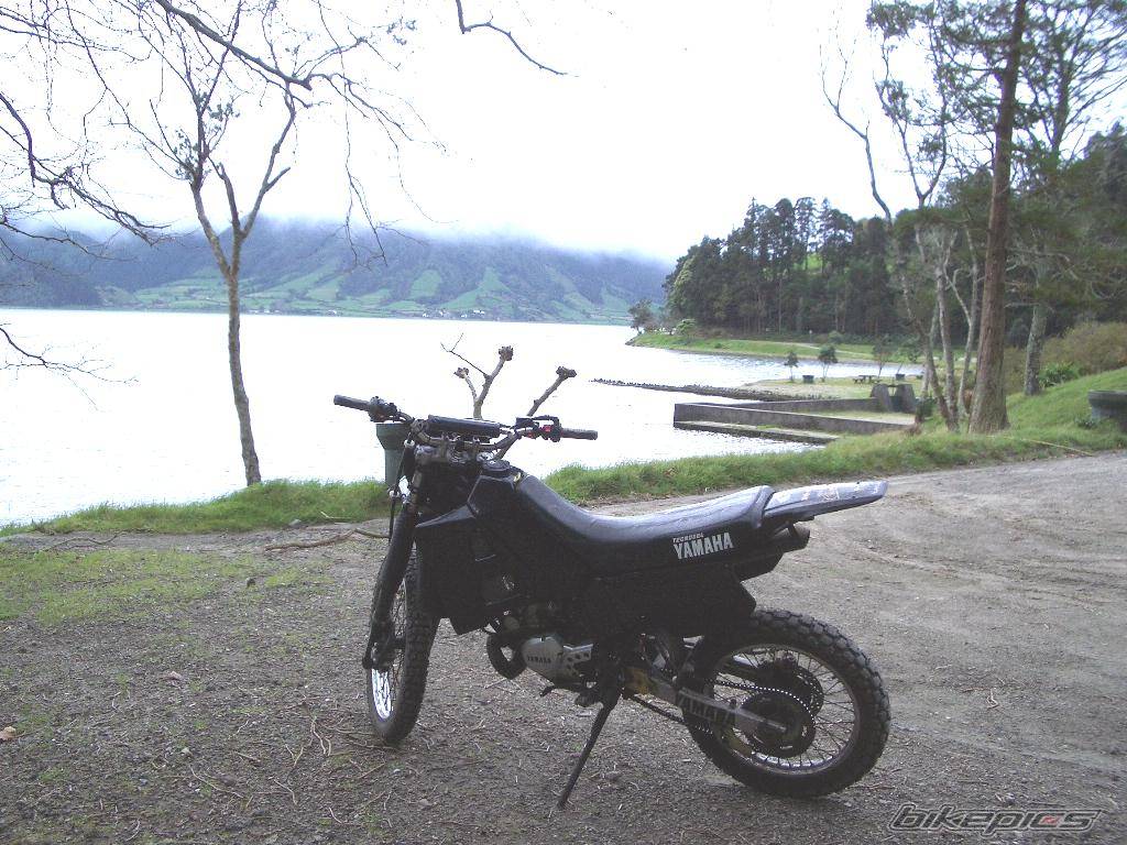 Photo 369731