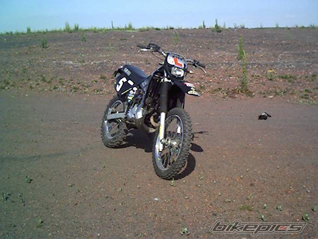 Photo 369751