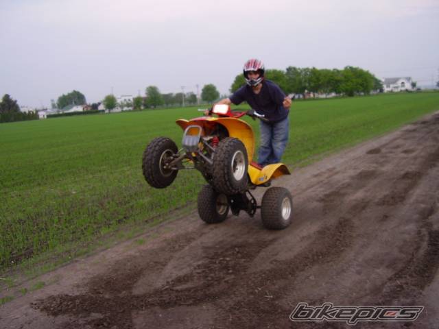 Photo 369766