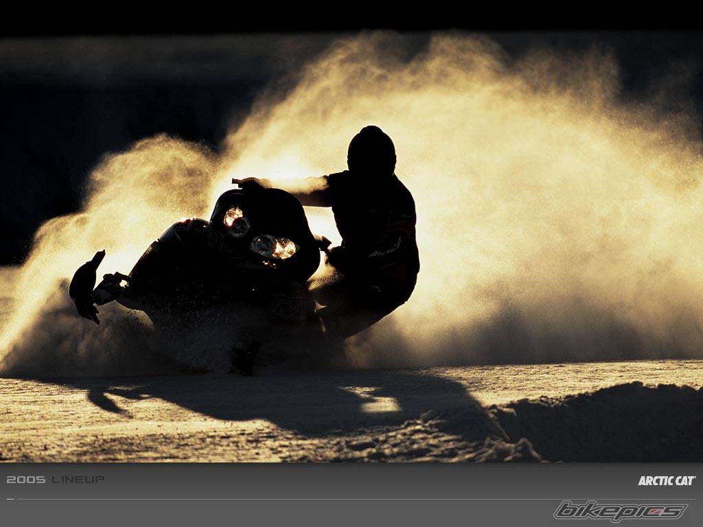 Photo 369778