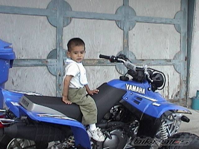 Photo 36978