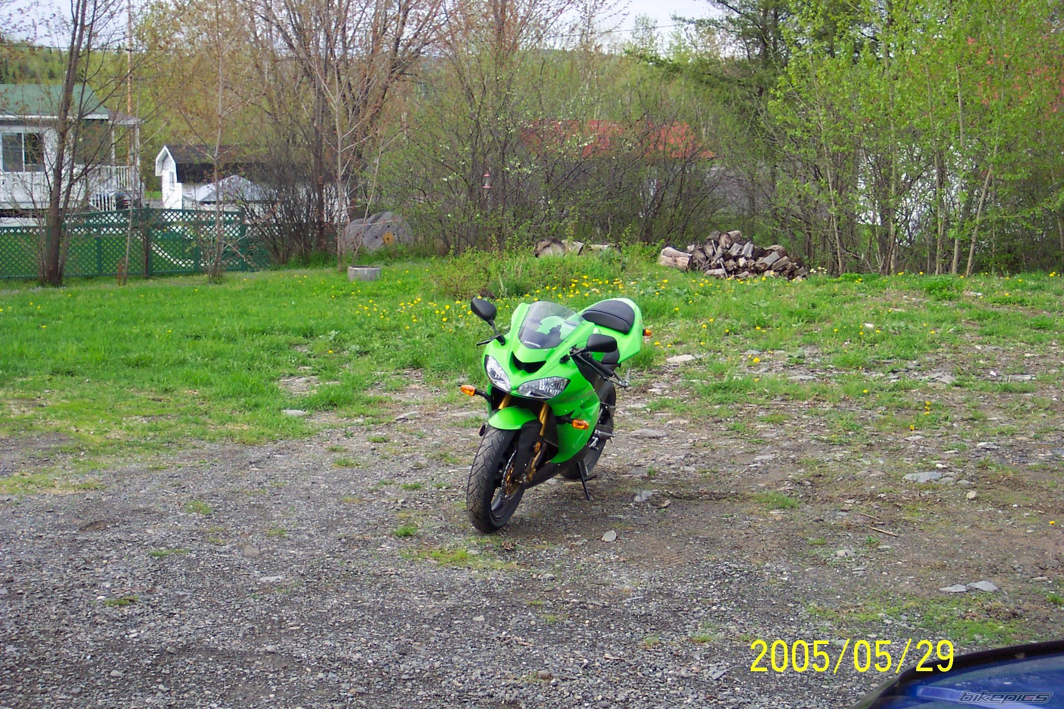 Photo 369932