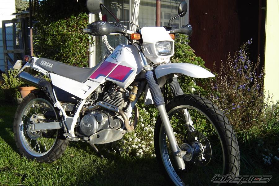 Bike Photo 370003