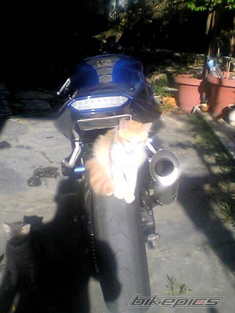 Photo 370038