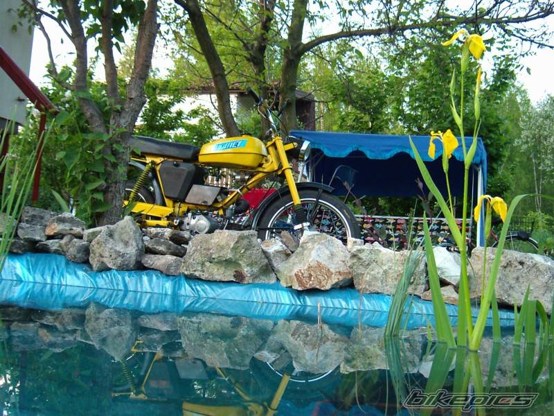 Bike Photo 370071