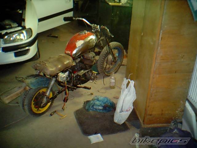 Photo 370128
