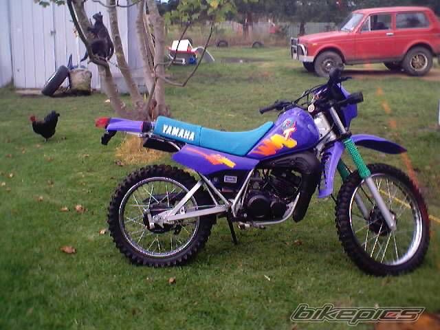 Photo 37034