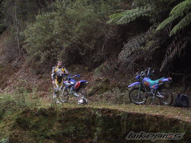 Photo 37036