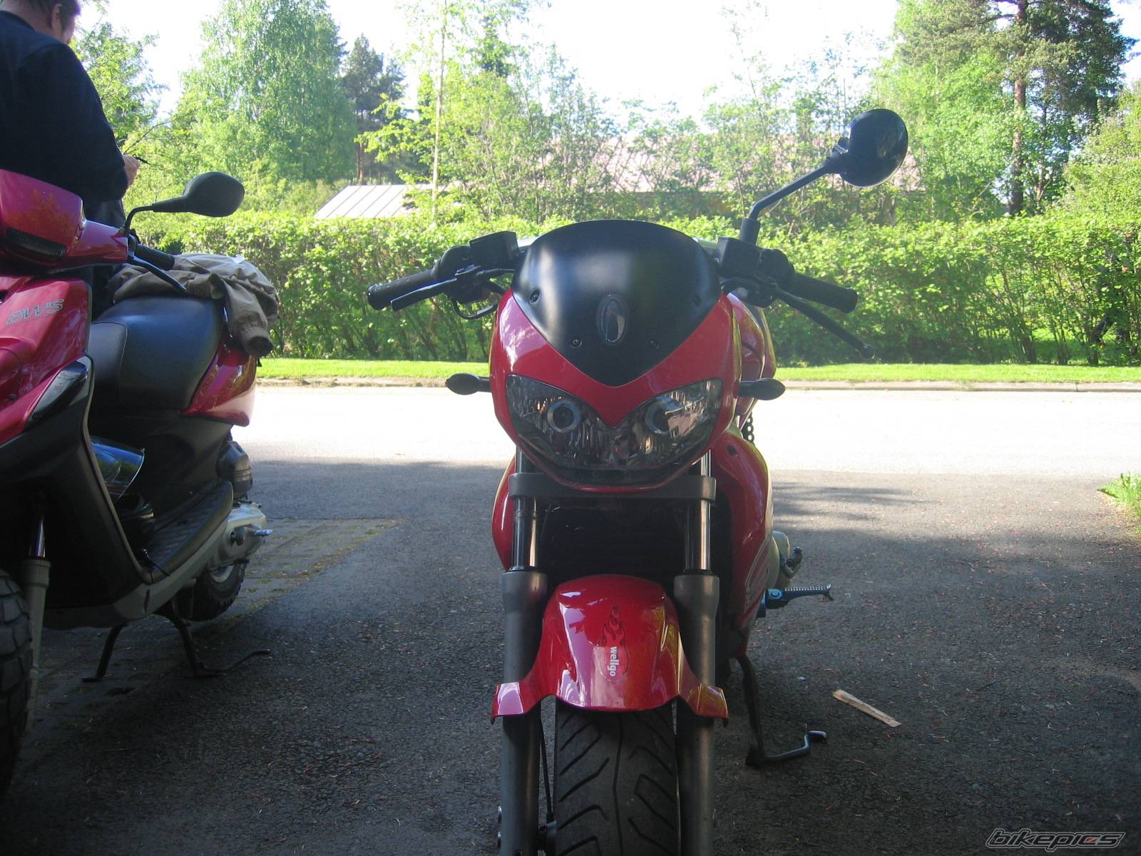 Photo 370411