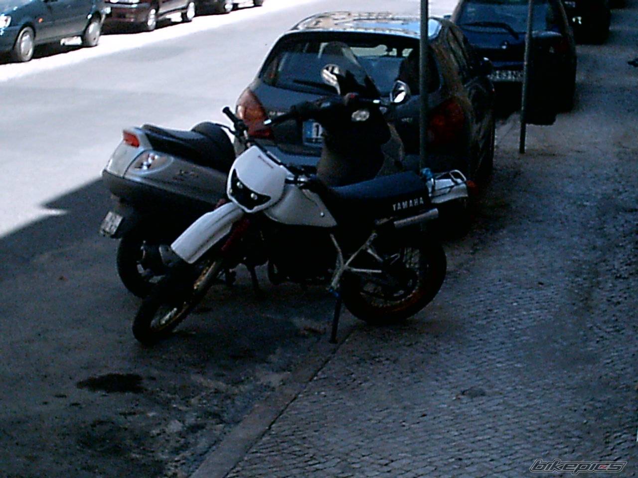 Photo 370413