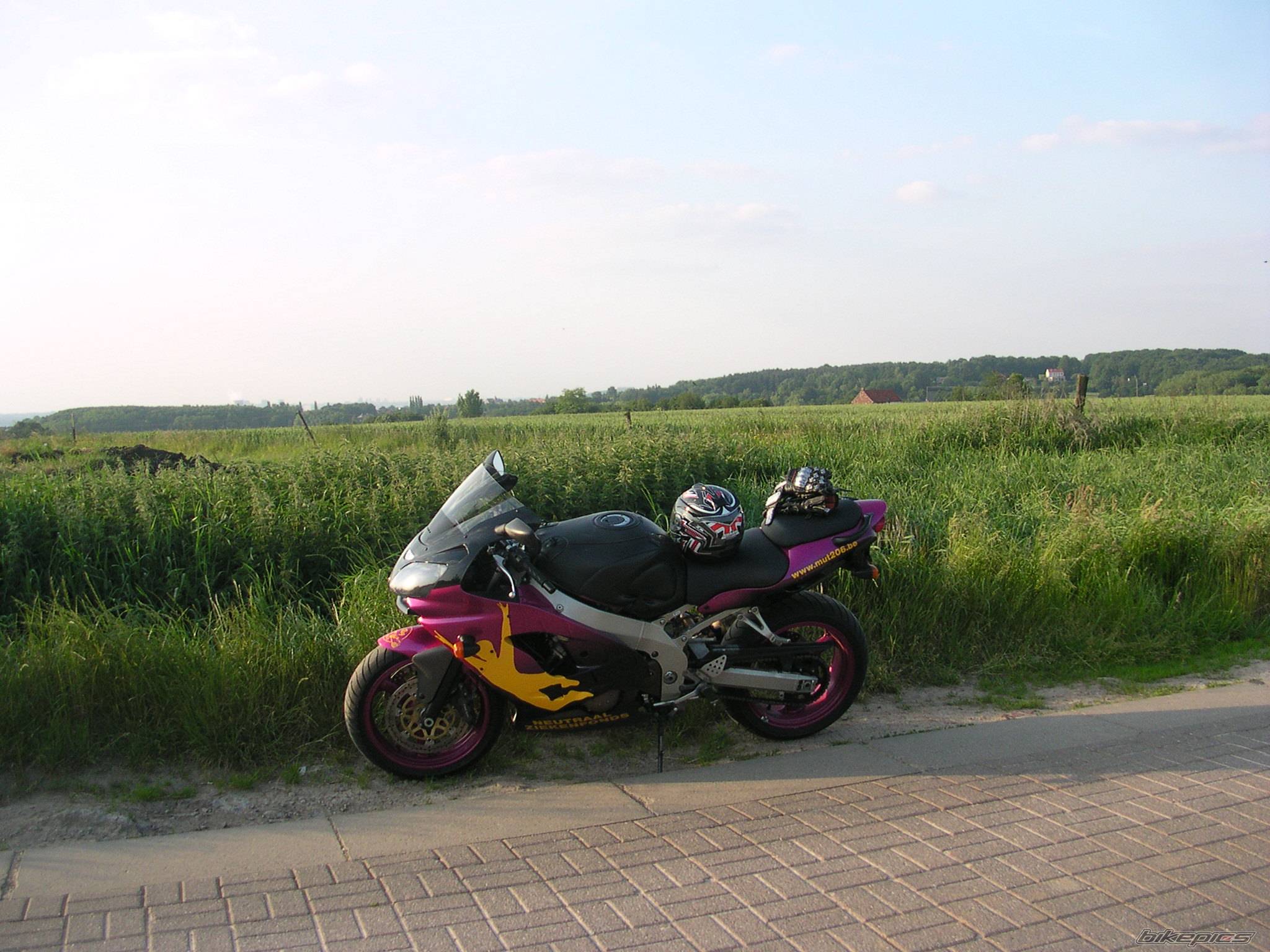 Photo 370435