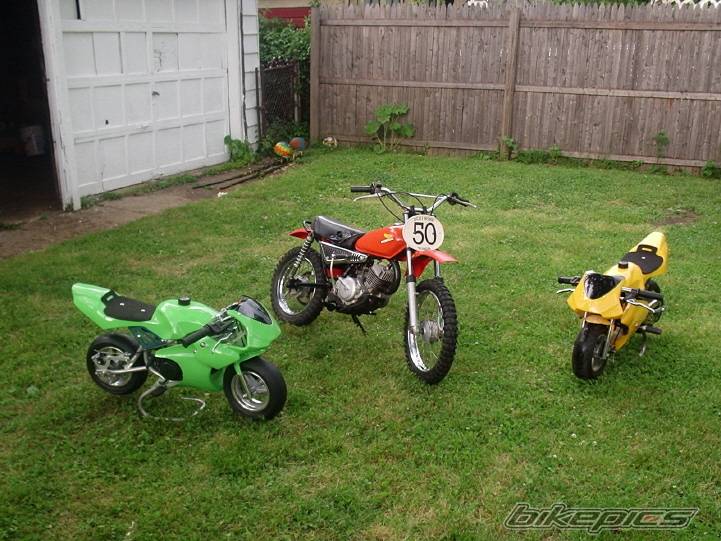 Photo 370497