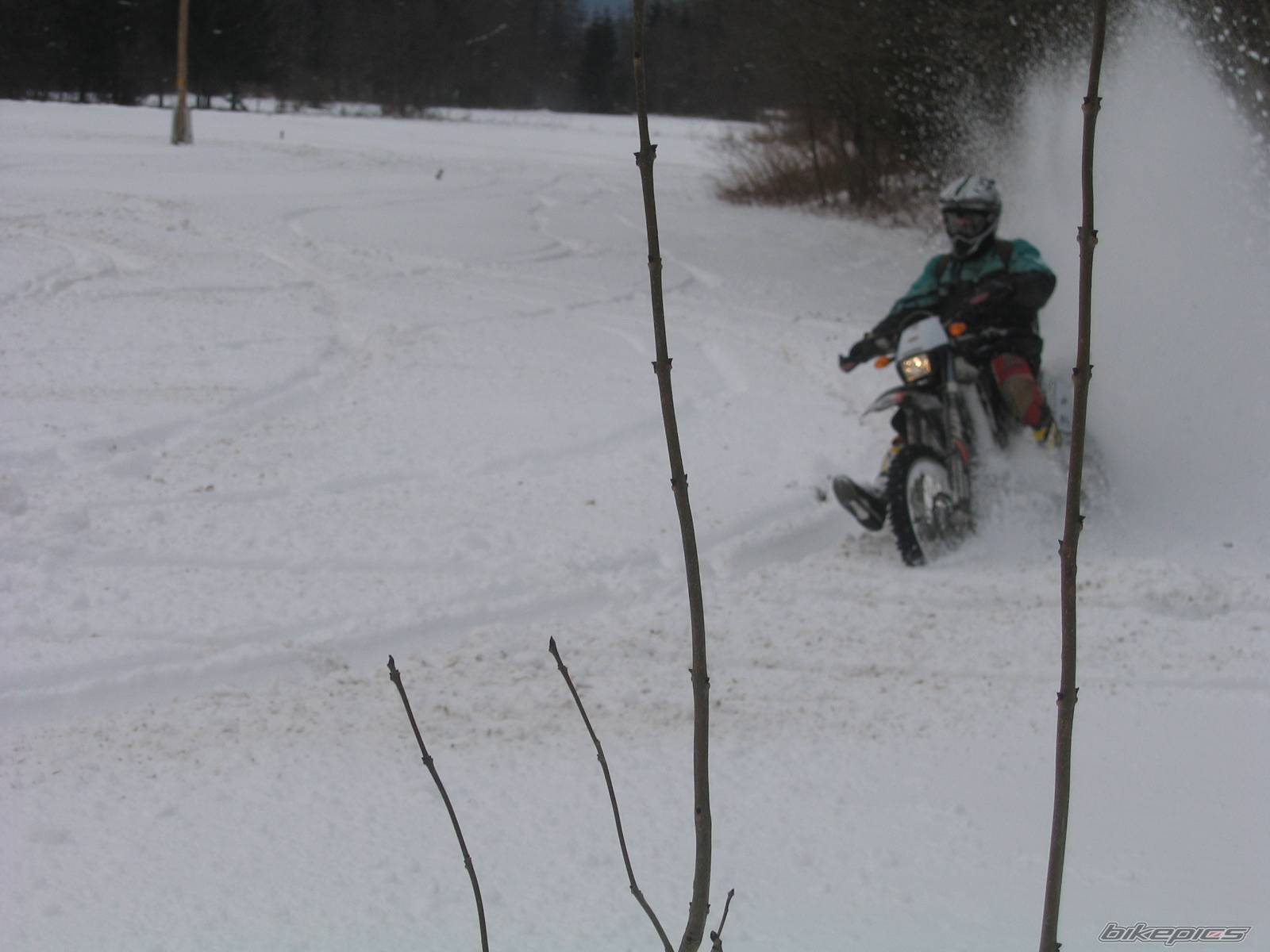 Photo 370630