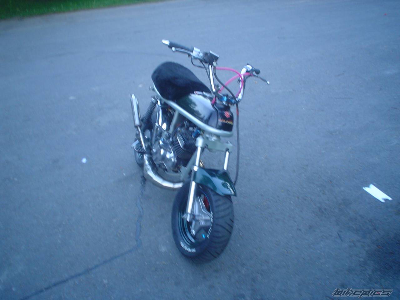 Photo 370675