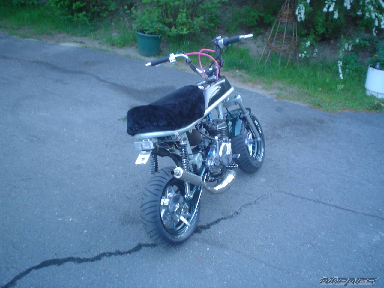 Photo 370676