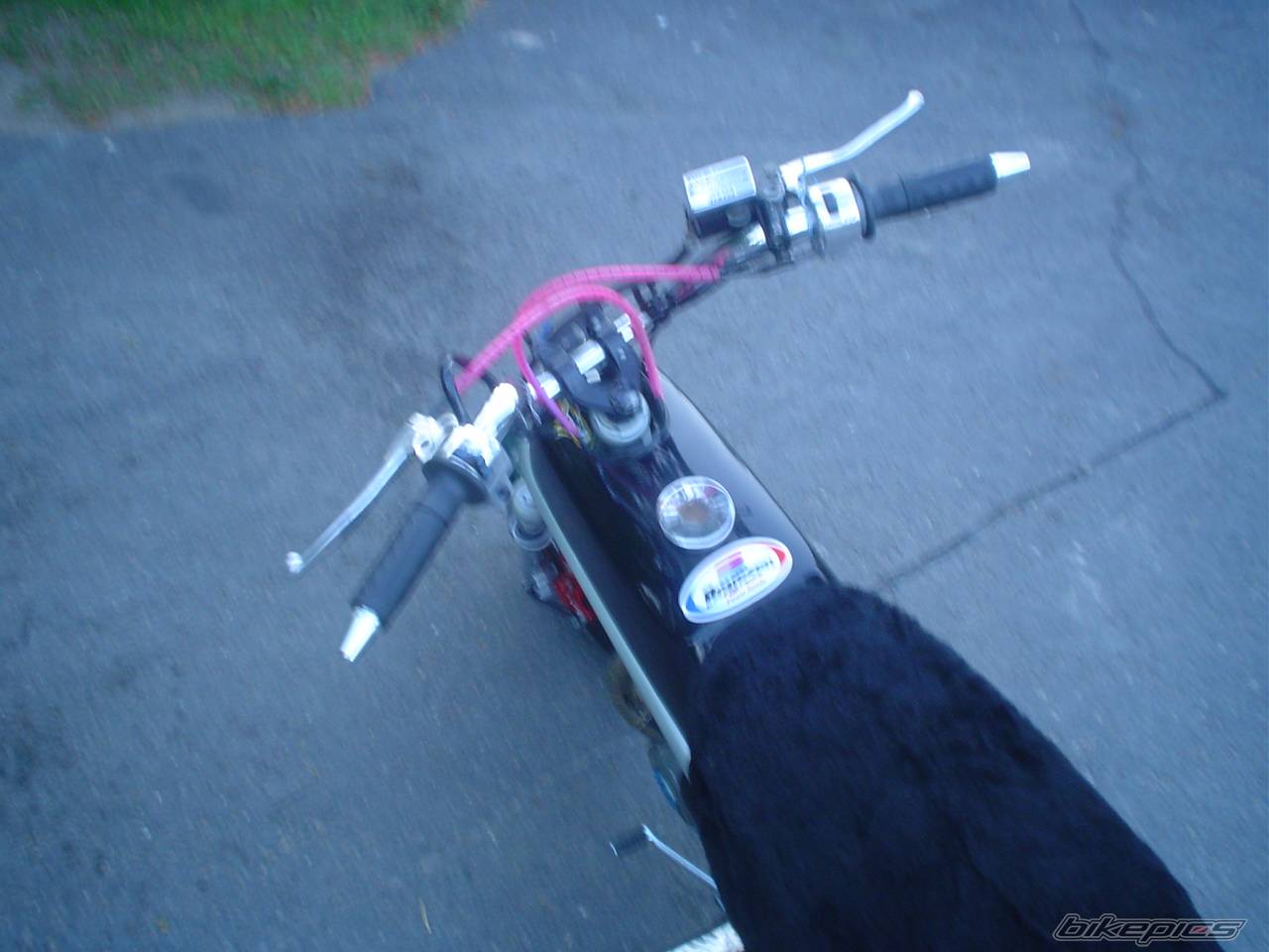 Photo 370677