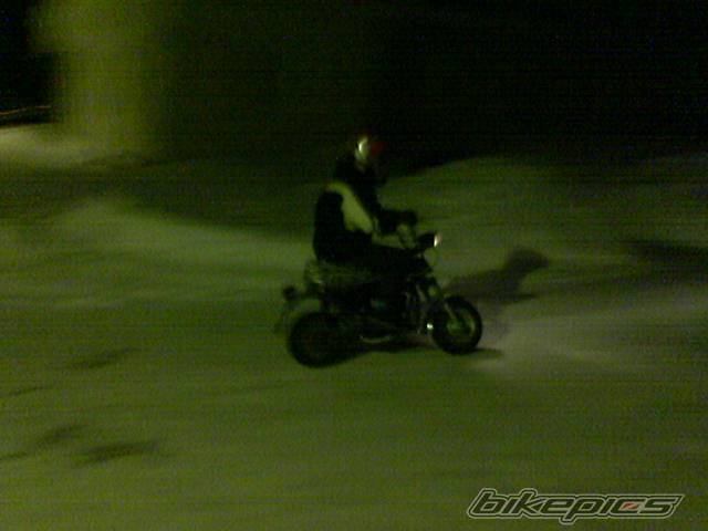 Photo 370746
