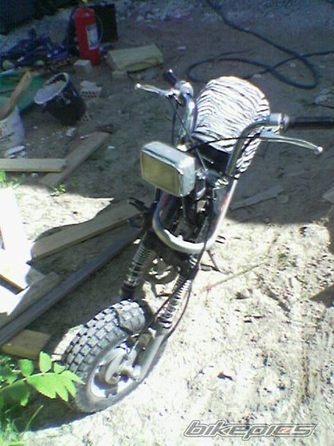 Photo 370755