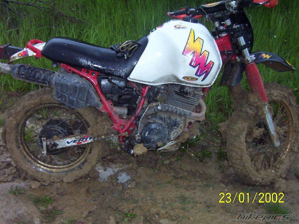 Bike Photo 370942