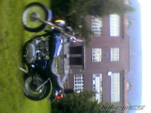 Photo 370960