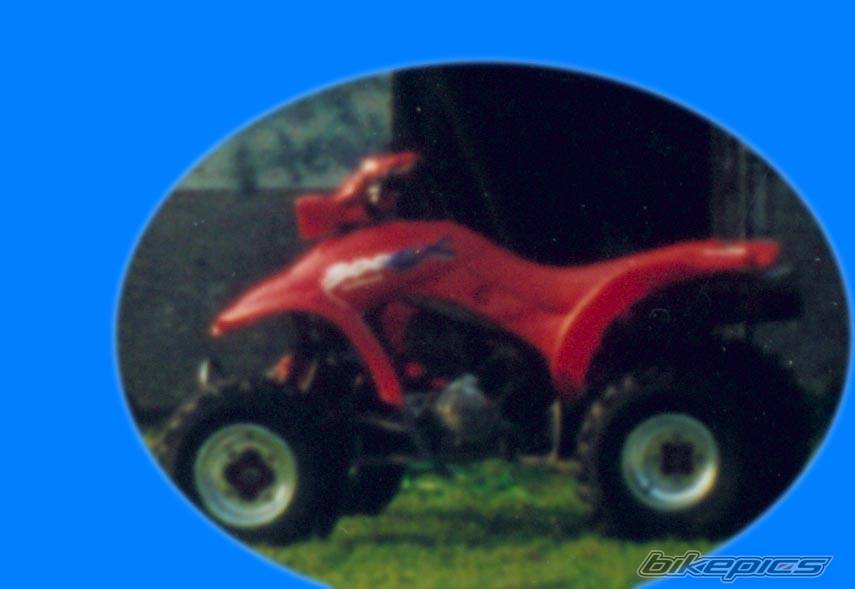 Photo 37104