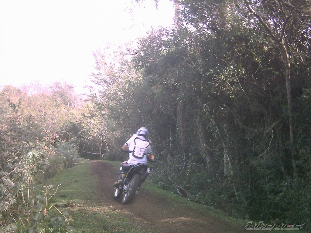 Photo 371114
