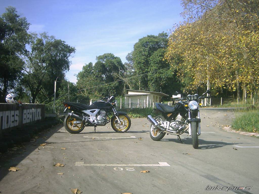 Photo 371136