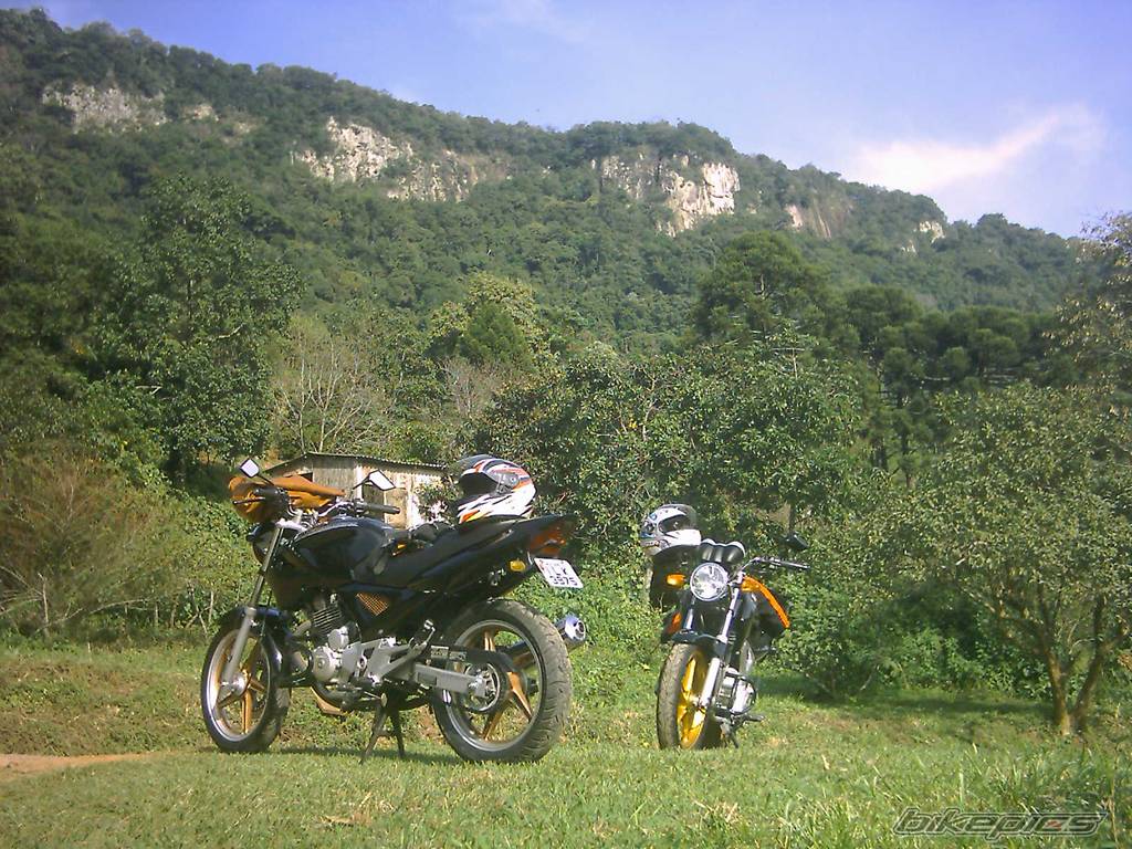 Bike Photo 371138