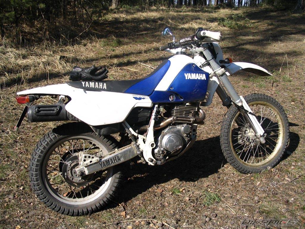 Bike Photo 371249