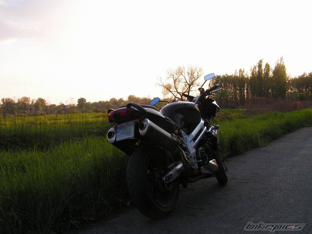 Photo 371262
