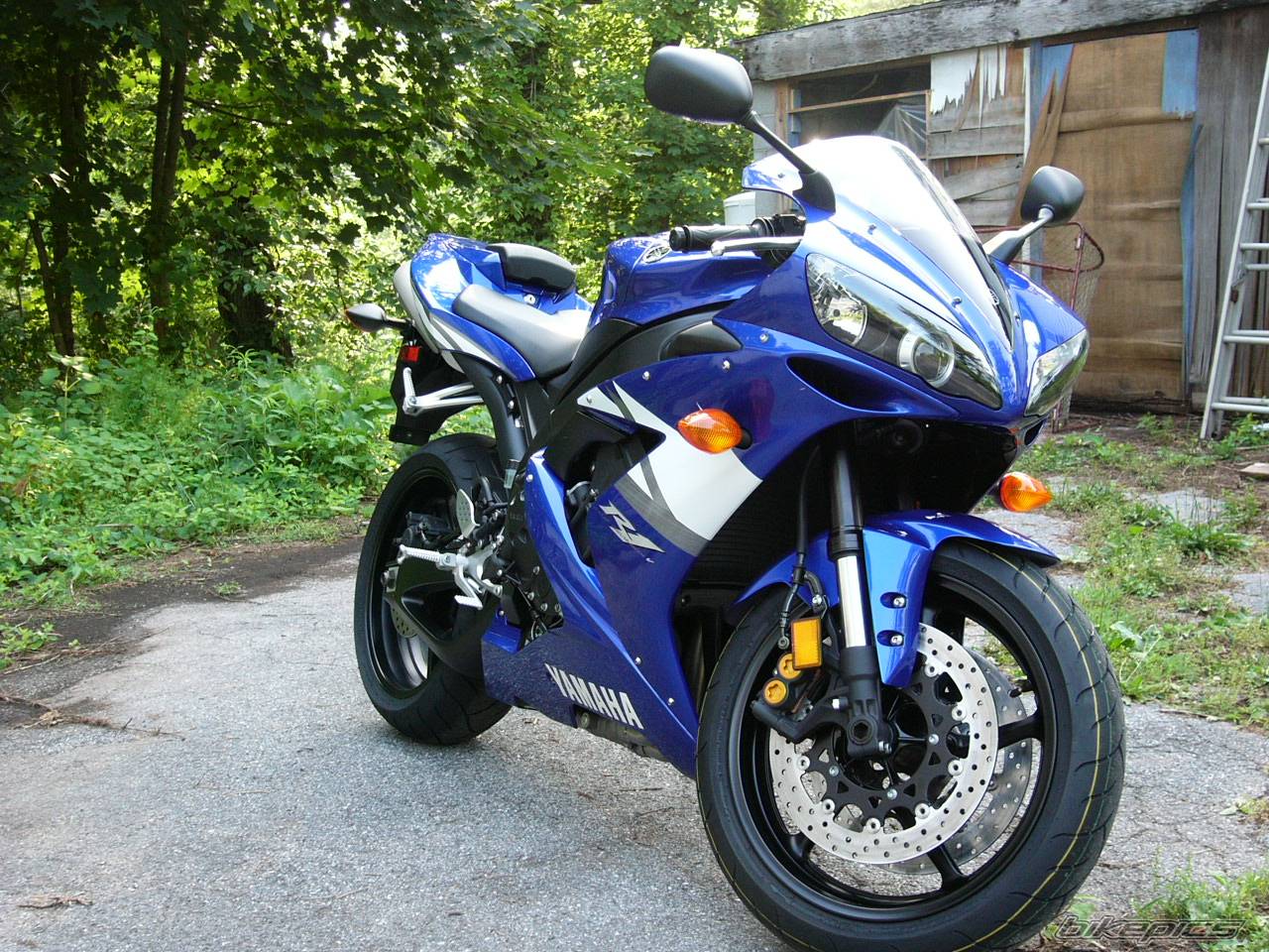 Bike Photo 371545