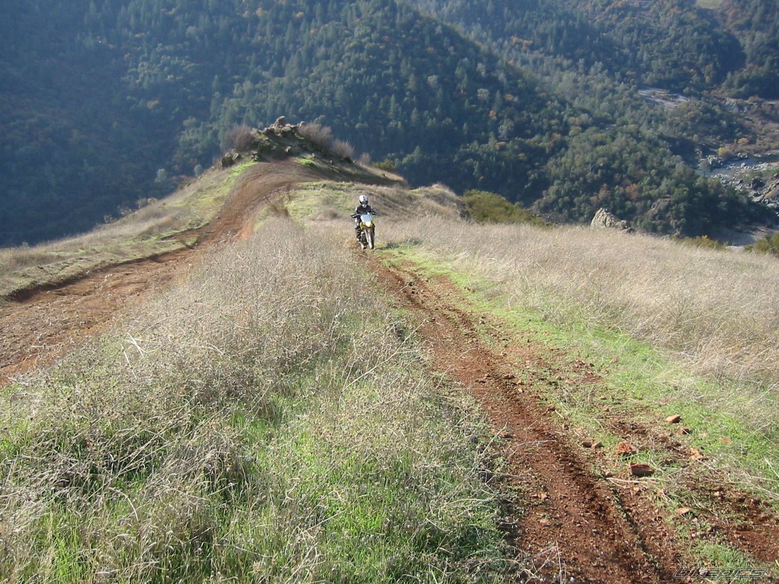 Bike Photo 371683