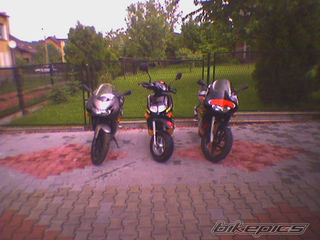 Photo 371807
