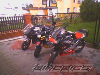 Photo 371809