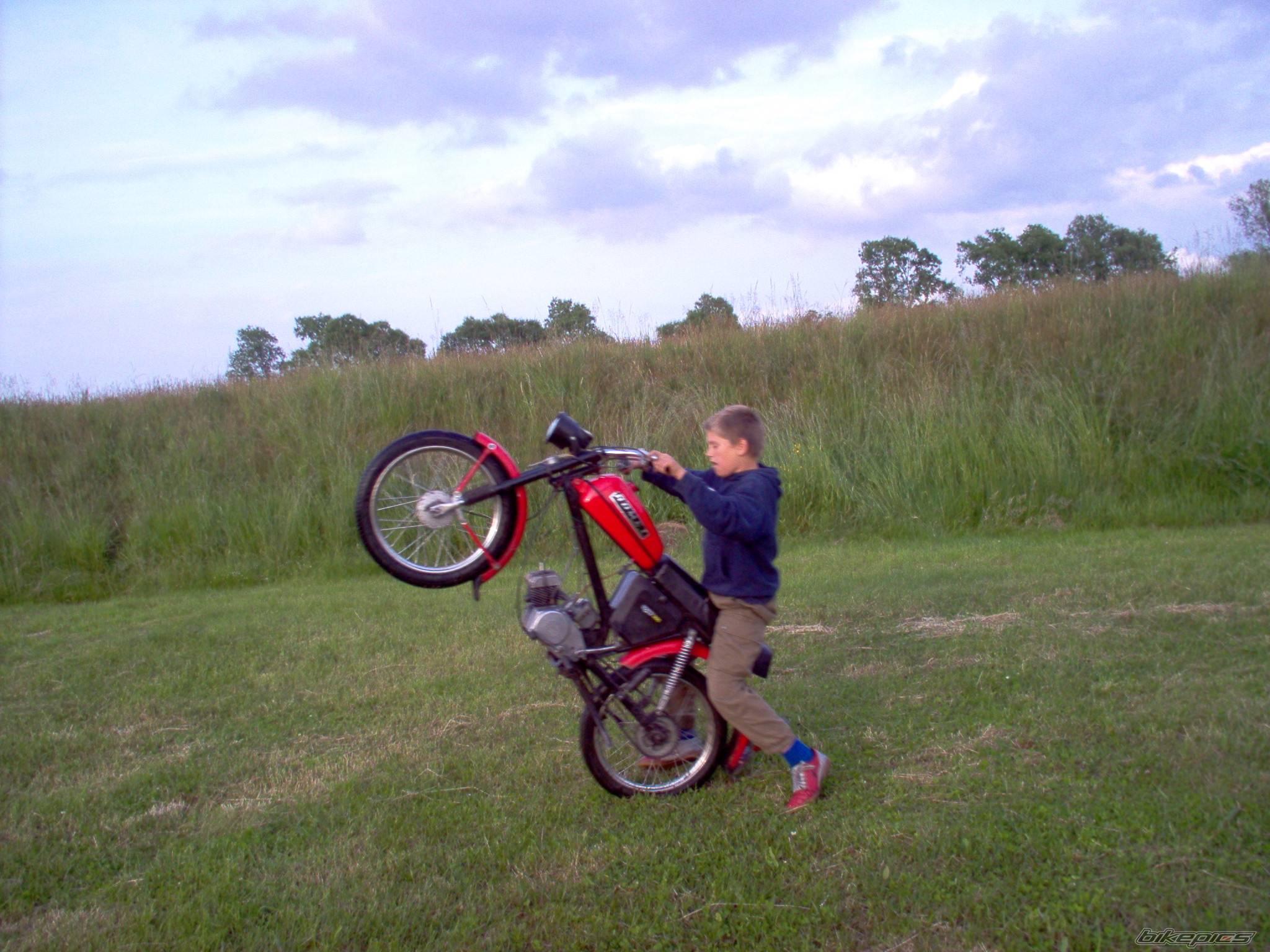 Photo 371853