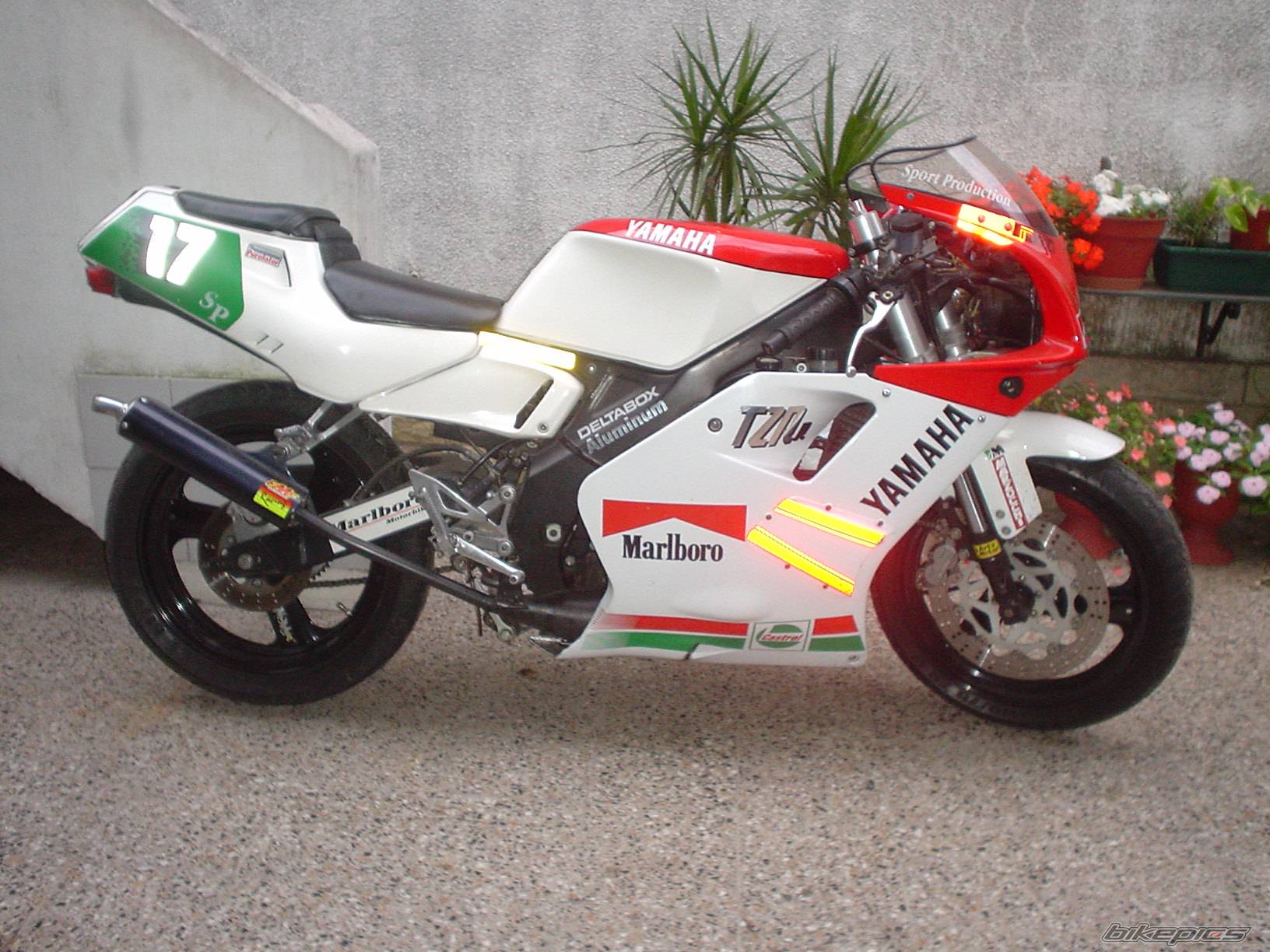 Bike Photo 371881
