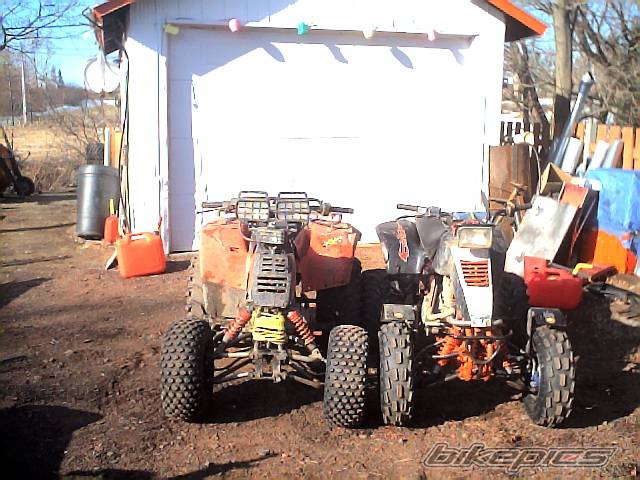 Photo 371920