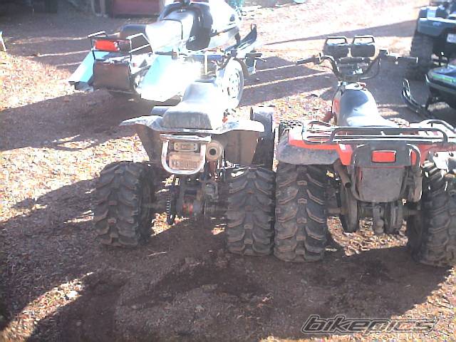 Photo 371921