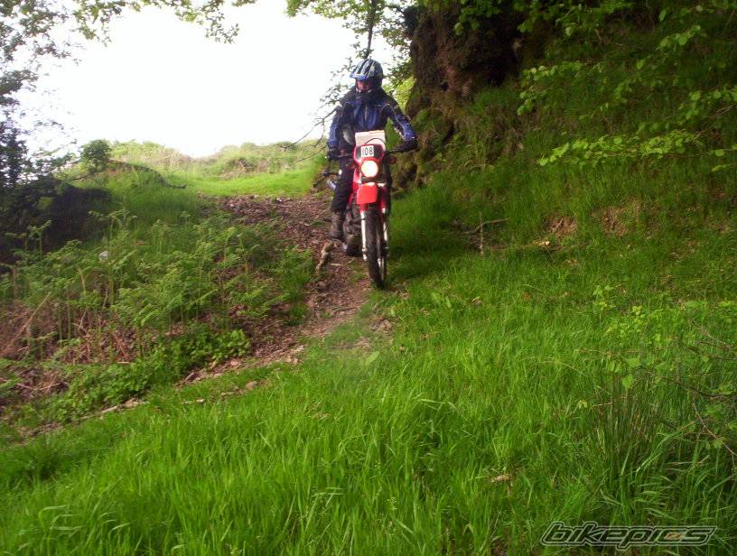 Photo 371942