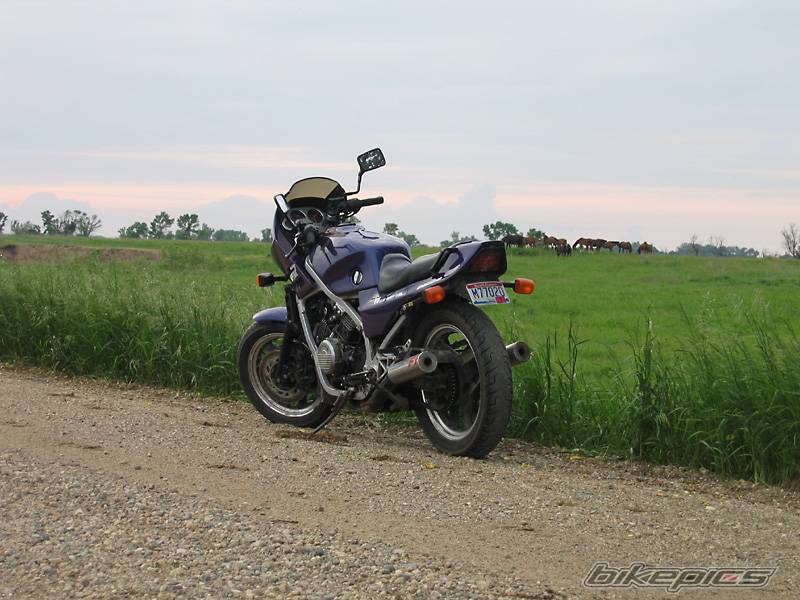 Photo 371944